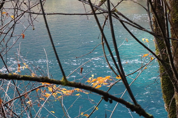 /Upload/201411/公司旅游/DSC00574.JPG